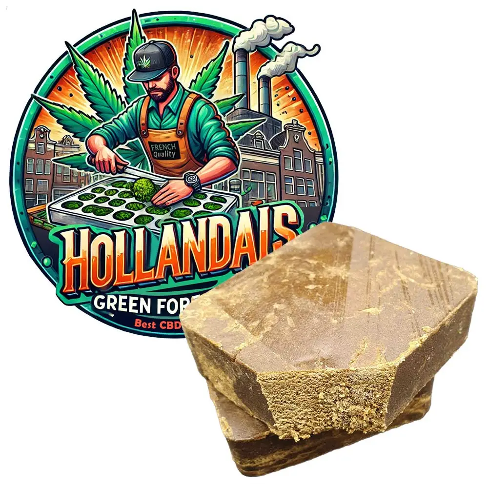  Hollandais CBD, résine de CBD, par GreenforestCBD